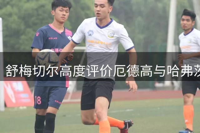 舒梅切尔高度评价厄德高与哈弗茨 阿森纳展现超强整体实力